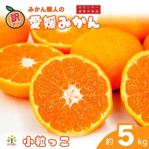 訳あり 愛媛みかん 小粒っ子 約5kg 【発送期間：9月中旬～1月中旬】 柑橘 果物 国産 フルーツ 蜜柑 ミックス 不揃い 傷 温州 ビタミン 美味しい みかん職人武田屋 愛媛県 愛南町 1384263 - 愛媛県愛南町