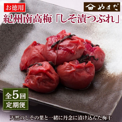 【定期便5回】紀州南高梅しそ漬つぶれ(塩分約15％) 1384336 - 和歌山県御坊市