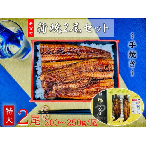 AG094.うなぎ蒲焼2尾（計400～500g） 1384375 - 福岡県新宮町