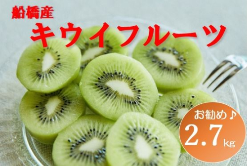 【1月発送分】船橋産キウイフルーツ2.8kg未追熟バラ詰め【傷み補償分約100ｇ込み】(E11) 138495 - 千葉県船橋市