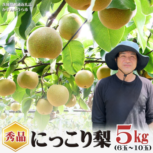 【2026年9月下旬から発送開始】《先行予約》《秀品》 にっこり梨 5kg 6玉 ～ 10玉 （茨城県共通返礼品／かすみがうら市） 鈴木農園 産地直送 フルーツ 甘い 直送 茨城 限定 にっこり [ED001sa] 1384975 - 茨城県桜川市