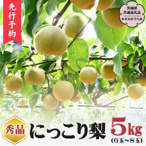 【2025年9月下旬から発送開始】《秀品》 にっこり梨 5kg 6玉 ～ 8玉 （茨城県共通返礼品／かすみがうら市） 鈴木農園 産地直送 フルーツ 甘い 直送 茨城 限定 にっこり [ED001sa] 1384975 - 茨城県桜川市