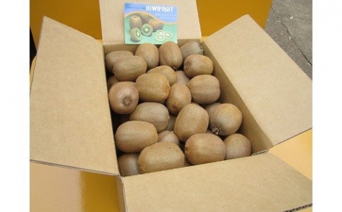 【有機栽培】キウイフルーツ・5kg（大玉のみ）・やまちょう園（11/16～12/15 発送分）(E13)