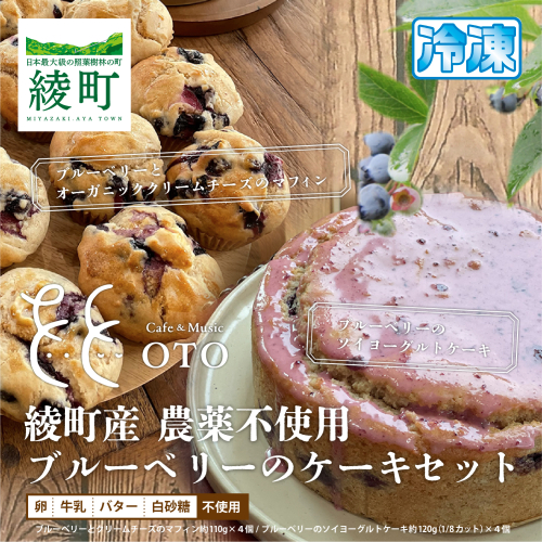 綾町産無農薬ブルーベリーとオーガニッククリームチーズのマフィン＆ブルーベリーのソイヨーグルトケーキセット 1385033 - 宮崎県綾町