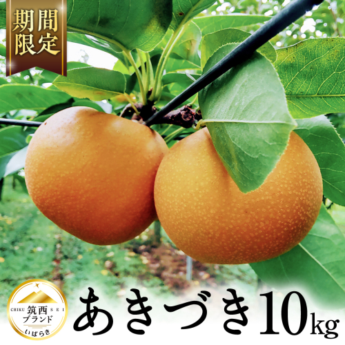 【 JA 北つくば 】 筑西ブランド 認証品 あきづき ( 梨 ) 10kg 果物 フルーツ なし ナシ 和梨 [AE029ci] 1385240 - 茨城県筑西市