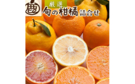 [1月上旬〜4月下旬発送]厳選 柑橘詰合せ約2kg+60g(傷み補償分)[有田の春みかん詰め合わせ・フルーツ詰め合せ・オレンジつめあわせ][光センサー選別]