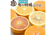 [1月上旬〜4月下旬発送][家庭用]柑橘詰合せ約3kg+90g(傷み補償分)[訳あり・わけあり][有田の春みかん詰め合わせ・フルーツ詰め合せ・オレンジつめあわせ][光センサー選別]