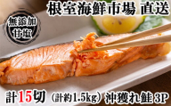 G-28037 根室海鮮市場＜直送＞無添加甘塩天然沖獲れ鮭5切×3P(計15切、約750g)