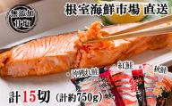 G-28039 根室海鮮市場＜直送＞無添加甘塩天然鮭3種セット(計15切、約750g)