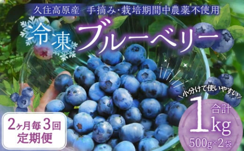【2ヶ月毎3回 定期便】久住高原 手摘みブルーベリー 冷凍 500g 2袋 計3kg 小分け 栽培期間中農薬不使用 【2025年7月下旬より順次発送開始予定】 1386351 - 大分県竹田市