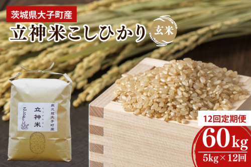 【12ヶ月定期便】【特別栽培米】令和6年度産 立神米こしひかり（玄米）定期便 5kg 12回お届け 茨城県 大子町 コシヒカリ 米 コンテスト 受賞  生産者 大子産米（BT017） 1386373 - 茨城県大子町