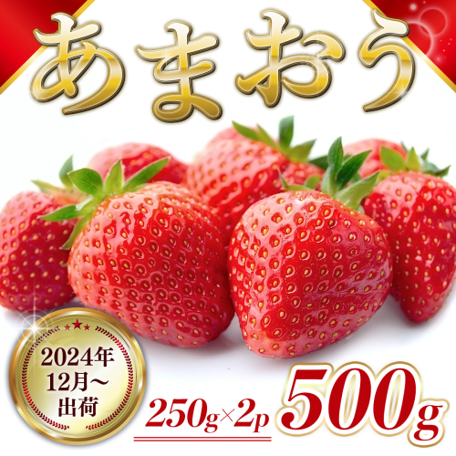 MZ043　福岡県産 あまおう 500g 先行予約 2024年12月より順次発送 1386558 - 福岡県篠栗町