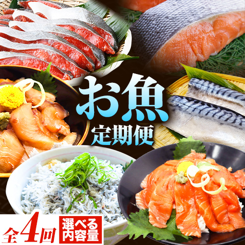 【定期便 全4回】サバフィレ 銀鮭切身 魚切り身詰合せ 海鮮漬け 選べる 内容量 株式会社魚鶴商店《お申し込み月の翌月より出荷開始》 和歌山県 日高町 鮭 さけ 紅さけ 切り身 さば 塩さば 焼き魚 焼くだけ 簡単 魚 さかな タラ サーモン カンパチしらす 1386830 - 和歌山県日高町