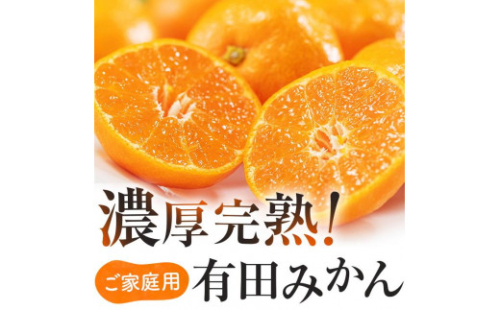 ご家庭用 濃厚完熟 有田みかん 約6kg【先行予約 2024年11月発送予定 】【MS4-1】 1386832 - 和歌山県那智勝浦町