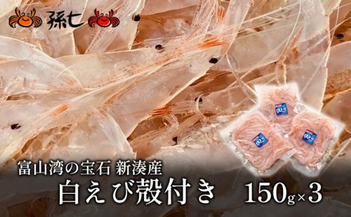 【おすすめ】白えび殻付き150g×3 138685 - 富山県射水市