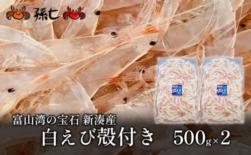【おすすめ】白えび殻付き500g×2 138687 - 富山県射水市