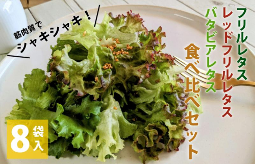 【栽培期間中農薬不使用】フリルレタス／レッドフリルレタス／バタビアレタス 食べ比べセット（8袋入り） 099H2937 1386889 - 大阪府泉佐野市