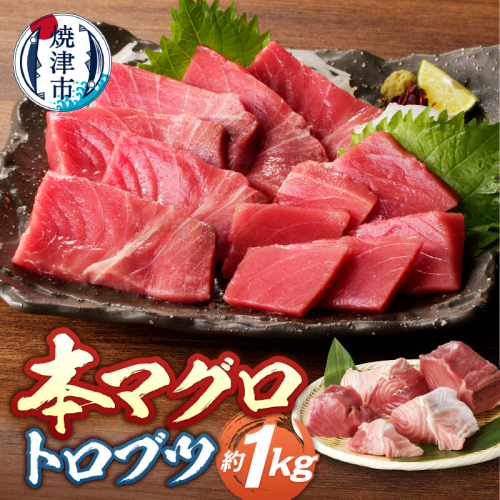 a15-674　本マグロ トロ ブツ 1kg 1386975 - 静岡県焼津市