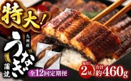 鹿児島県産の特大うなぎの蒲焼2尾セットを12ヶ月連続でお届け！鹿児島の温暖な気候と恵まれた自然のなかで育てられたうなぎを使用しています。1尾約230gと特大サイズ！1尾1尾丁寧に焼き上げたうなぎは、ふ