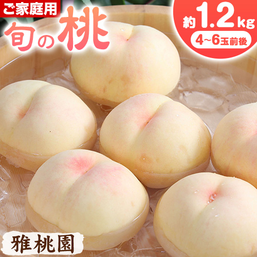 【2026年先行予約】ご家庭用 旬の桃 約1.2kg ( 4～6玉前後 ) 株式会社創・和(雅桃園) 《2026年7月上旬-8月上旬頃出荷》岡山県 浅口市 桃 もも フルーツ 果物 青果 旬 白桃 わけあり 訳あり【配送不可地域あり】 1387004 - 岡山県浅口市