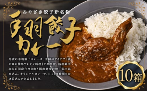 〈 みやざき餃子新名物 手羽餃子カレー 10箱 〉翌月末迄に順次出荷 カレー 餃子 ギョウザ ギョーザ 手羽餃子 レトルト 常温保存 餃子の馬渡 1387373 - 宮崎県高鍋町