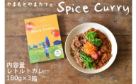 10P225 やまもとやまカフェ スパイスカレー3箱セット（180g×3箱）