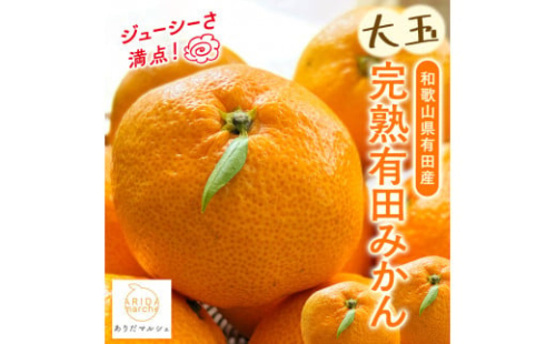 迫力満点 大粒 有田みかん 約4kg［先行予約］［果汁たっぷり］［MS15］ 1387835 - 和歌山県那智勝浦町