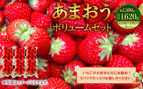 あまおうボリュームセット 約250～270g×6パック【2025年2月上旬～4月上旬発送予定】 1388003 - 福岡県大刀洗町