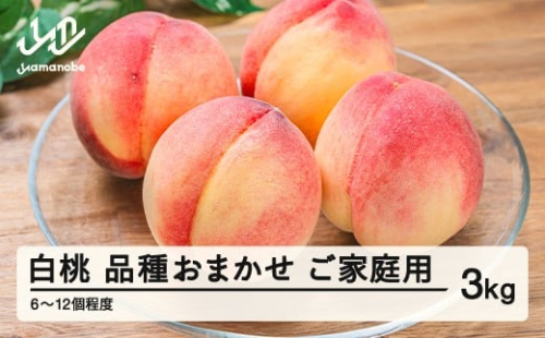 【先行予約】もも 桃 品種おまかせ 白桃 ご家庭用 約3kg(6~12個程度)  2026年産 山形県産 ※沖縄・離島への配送不可 tf-moywm3
