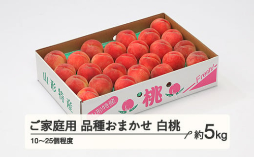 もも 桃 品種おまかせ 白桃 ご家庭用 約5kg(10~25個程度)  2025年産 山形県産 ※沖縄・離島への配送不可 tf-moywm5