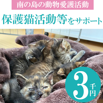 【南の島の動物愛護活動】保護猫活動等をサポート（3千円）
