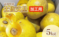 【訳あり】土佐文旦（ぶんたん）加工用（M～５Ｌ混合）約５ｋｇ