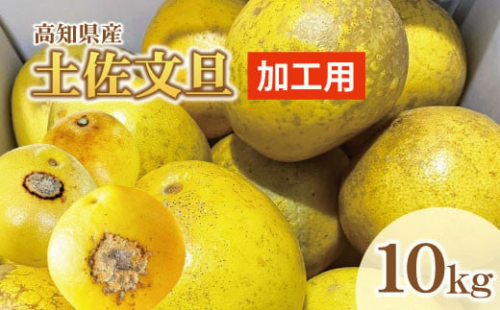 【先行予約】【訳あり】土佐文旦 加工用（M～5L混合）約10kg〈2027年2月中旬〜発送〉/ 文旦 10キロ 約16～30玉 ぶんたん ブンタン 柑橘 果物 フルーツ【株式会社とさもん】 1388378 - 高知県土佐市