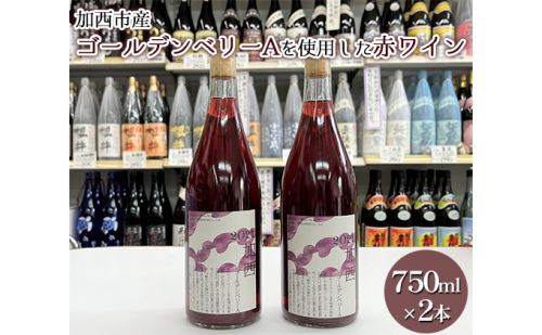 加西市産ゴールデンベリーA を使用した赤ワイン 750ml×2本 コタニ お酒 138850 - 兵庫県加西市
