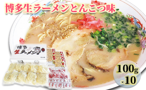 ラーメン 博多 生ラーメン とんこつ味 1ケース 麺 とんこつ 1388553 - 福岡県朝倉市