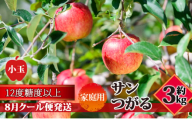 【8月クール便発送】（糖度12度以上）家庭用小玉サンつがる約3kg【弘前市産 青森りんご】