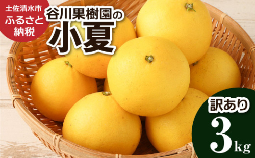 【令和8年4月発送】<訳あり> 谷川果樹園の小夏3kg 日向夏 みかん 柑橘 フルーツ こなつ ニューサマーオレンジ 果物 美味しい ワケあり 訳 自宅用 おやつ 高知 【R01146】 1389043 - 高知県土佐清水市