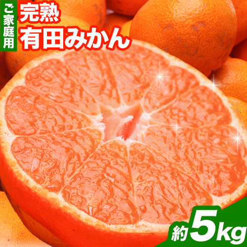 ＜先行予約＞家庭用 完熟 有田 みかん 5kg+150g（傷み補償分）【わけあり・訳あり】【光センサー選果】 池田鹿蔵農園@日高町（池田農園株式会社）《11月中旬-1月末頃出荷》和歌山県 日高町【配送不可地域あり】みかん 有田みかん 1389300 - 和歌山県日高町