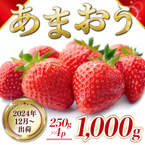 MZ044　福岡県産 あまおう 1000g 先行予約 2024年12月より順次発送 1389310 - 福岡県篠栗町