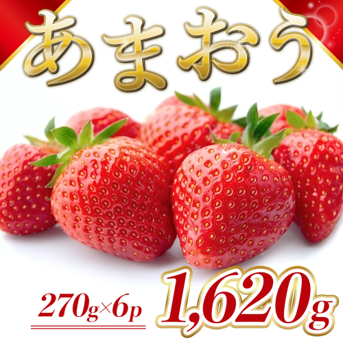 MZ059 福岡県産 あまおう 1620g　先行予約 2025年1月～3月末にかけて順次発送予定 1389441 - 福岡県篠栗町