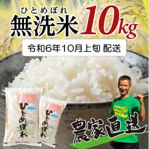 SA2149　10月上旬配送／令和6年産【無洗米】ひとめぼれ　10kg(5kg×2袋)　農家直送・鳥海山麓やわたの米 TR 1389721 - 山形県酒田市