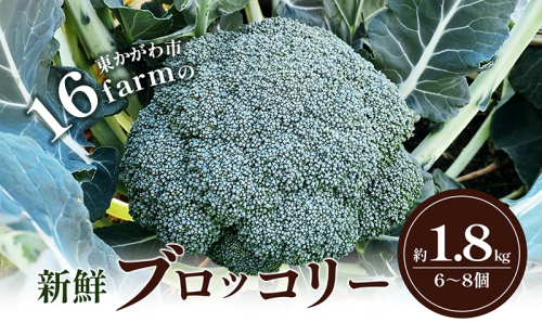 16farmの新鮮ブロッコリー 約1.8kg（6～8個） ブロッコリー 野菜 やさい 新鮮 東かがわ 1389765 - 香川県東かがわ市