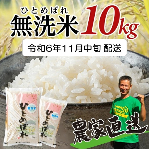 SA2153　11月中旬配送／令和6年産【無洗米】ひとめぼれ　10kg(5kg×2袋)　農家直送・鳥海山麓やわたの米 TR 1389772 - 山形県酒田市