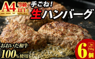 おおいた和牛 100% 手ごね 生ハンバーグ (計900g・150g×6個) 国産 牛肉 肉 霜降り A4 和牛 ブランド牛 冷凍 大分県 佐伯市【DH267】【(株)ネクサ】