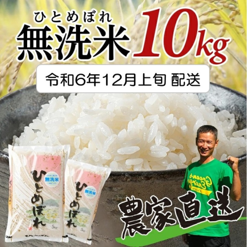 SA2155　12月上旬配送／令和6年産【無洗米】ひとめぼれ　10kg(5kg×2袋)　農家直送・鳥海山麓やわたの米 TR 1389838 - 山形県酒田市