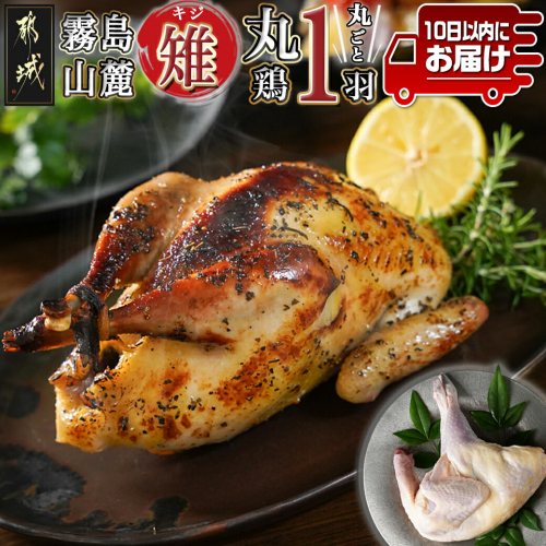 【たしろ屋】都城産キジ(丸鶏1羽) ≪みやこんじょ特急便≫_18-9902-Q 1389842 - 宮崎県都城市