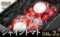 シャイントマト 500g×2袋 TY0-0617