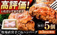 【3回定期便】牧場直営店の手作りハンバーグ（140g×5個）【川崎畜産】 [IAX057]