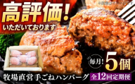 【12回定期便】牧場直営店の手作りハンバーグ（140g×5個）【川崎畜産】 [IAX059]