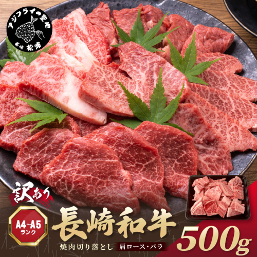 訳あり！【A4～A5】長崎和牛焼肉切り落とし(肩ロース・バラ)500g【B1-145】牛肉 おすすめ 長崎和牛 バーベキュー 焼肉 切り落とし 冷凍 国産 送料無料 1389912 - 長崎県松浦市